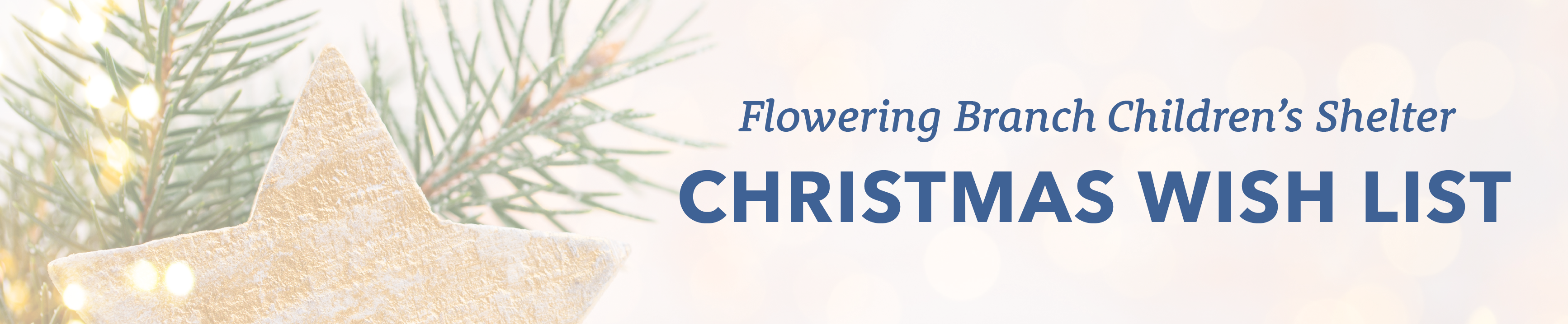 Donate for the Flowering Branch Children's Shelter Christmas List