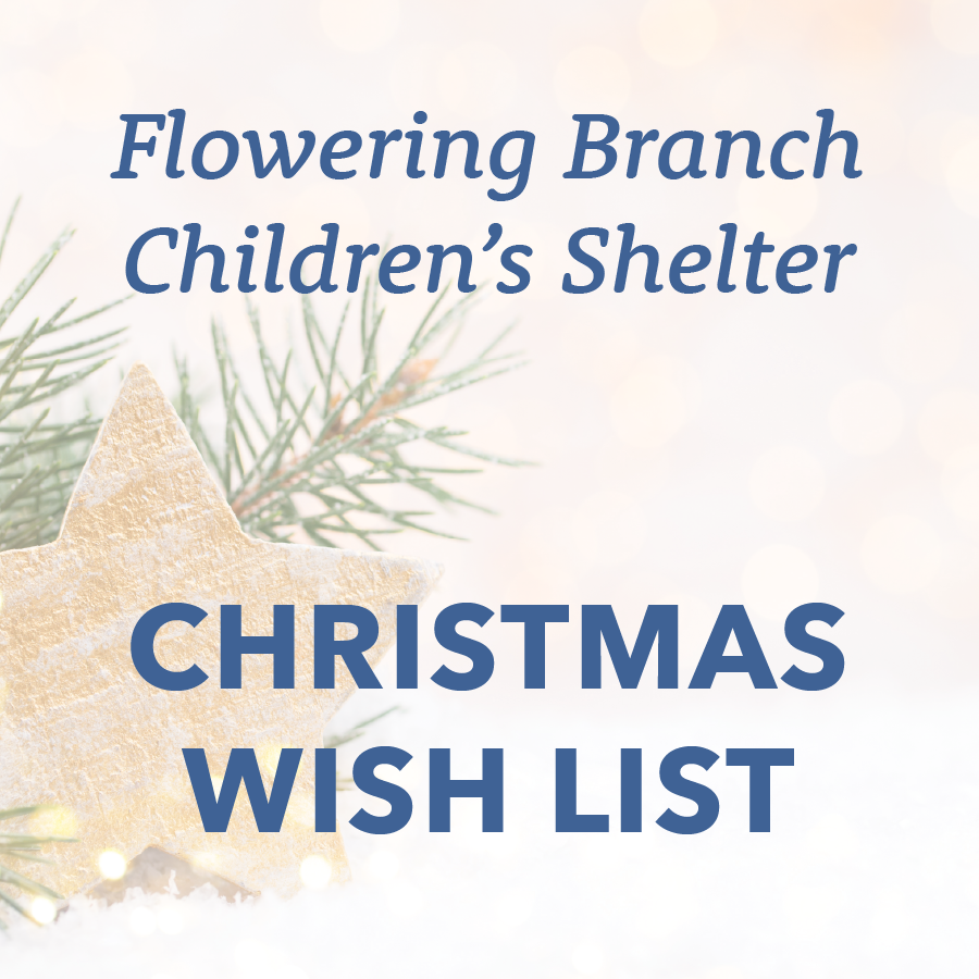 Donate for the Flowering Branch Children's Shelter Christmas List